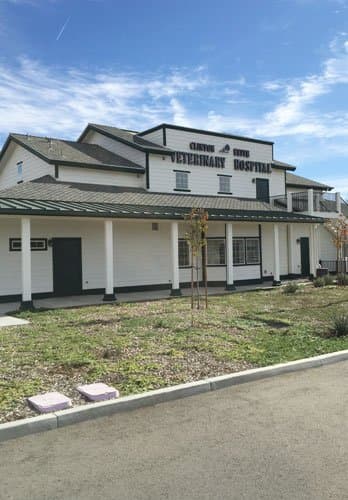 Shingle roof on a new veterinary hospital in Wildomar